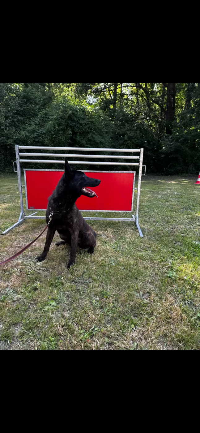 Tania De L'Odyssée D'Hèra